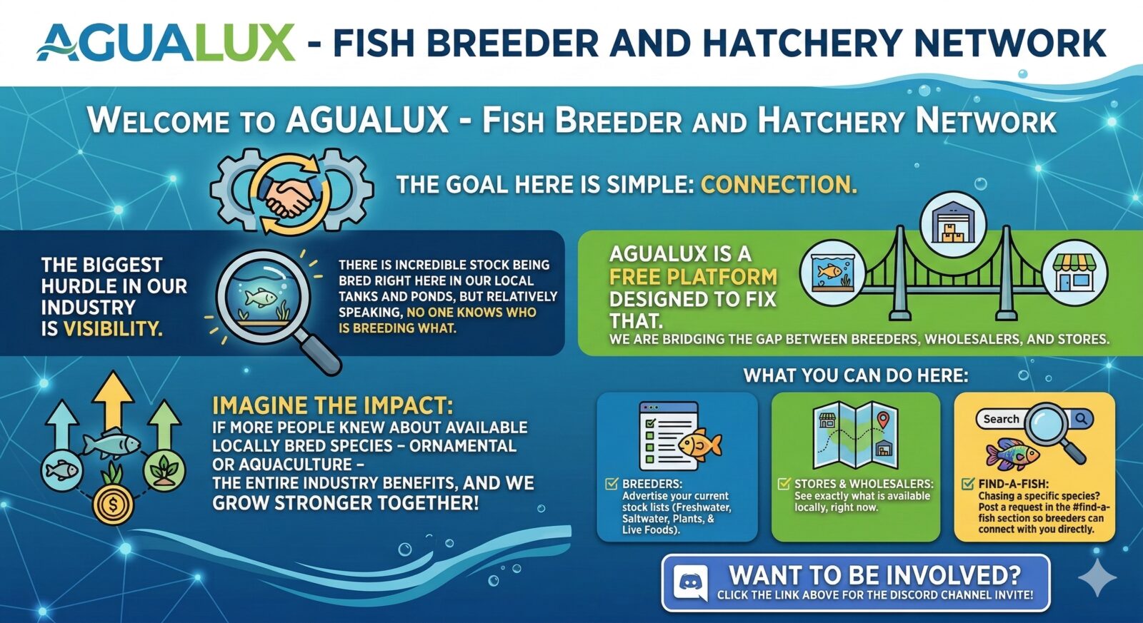AguaLux infographic — the visibility problem in the aquatic industry